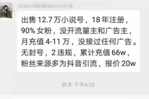 小说分销暴利项目，日引万粉的另类玩法