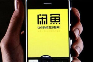 闲鱼电商另类玩法：SEO卖货获取精准流量盈利方法。