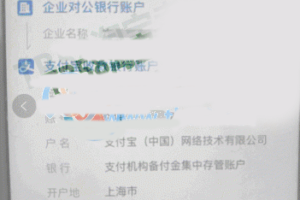 支付宝掉线了出现对公打款要怎么解决！（处理完也可以开店使用）