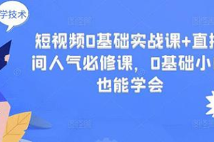 [抖音电商短视频运营教程] 抖音短视频0基础实战课+直播间人气必修课，0基础小白也能学会