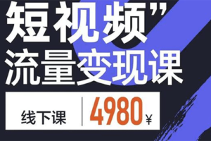 抖音短视频流量变现课，学成即可上路，抓住时代的红利【价值4980元