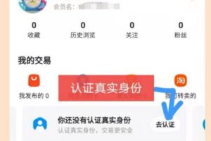 闲鱼无货源，新手也能赚乾