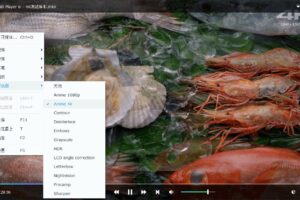 PlayerFab中文解锁版(4K蓝光播放器)