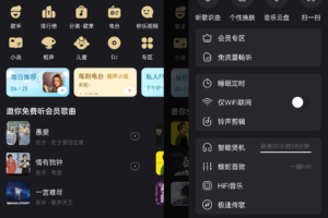 酷我音乐APP_v解锁豪华VIP版