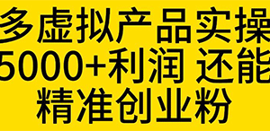 拼多多虚拟产品实操流程，月产5000+利润，还能引流精准创业粉