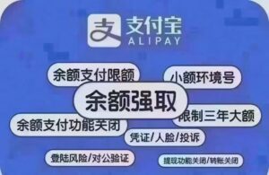 2025年11月蕞新ZFB强提7种方案